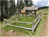 Ljubno ob Savinji - Planina Mali Travnik